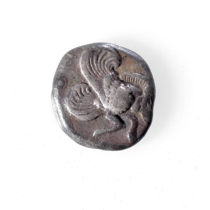 Diobel Coin with Winged Forepart of Bear