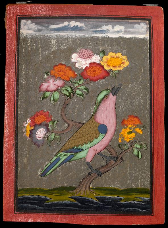 Bird seated on a flowering branch