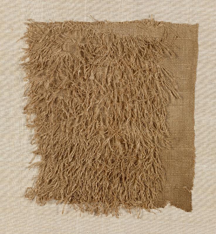 Fragment of a Textile