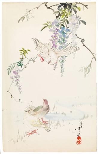 Three birds and wisteria