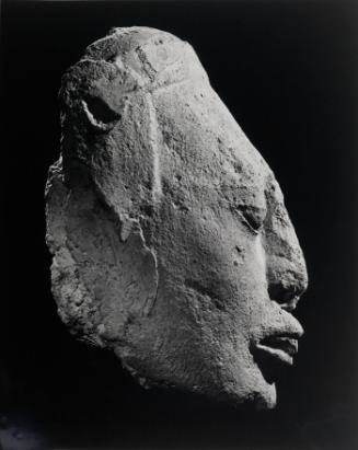 Fragment of a head