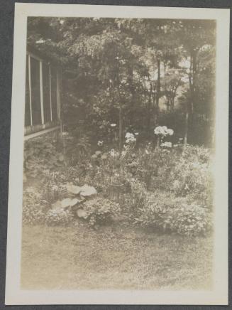 Series of gardens at Crooked Mile Road, Westport, CT including bird bath created by Charles Prendergast; garden