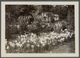 Series of gardens at Crooked Mile Road, Westport, CT including bird bath created by Charles Prendergast; garden
