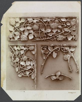The Metropolitan Museum of Art (serial no. 08.181.56E) grapevine fragments