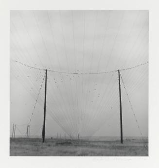 Untitled (Wires)