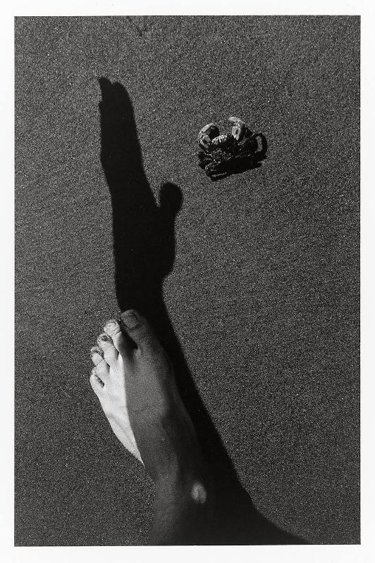 Foot, Shadow, Crab (from "Somnambulist")