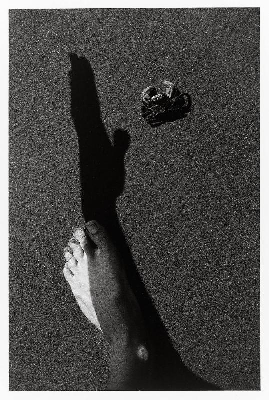 Foot, Shadow, Crab (from "Somnabulist")