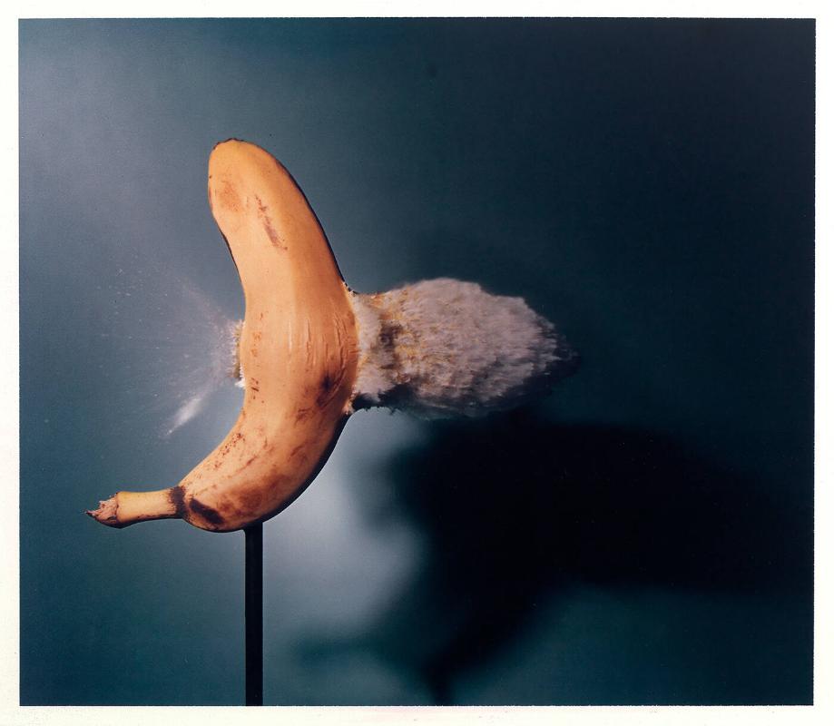 Bullet through Banana, 1964 (from "Ten Dye Transfer Photographs")