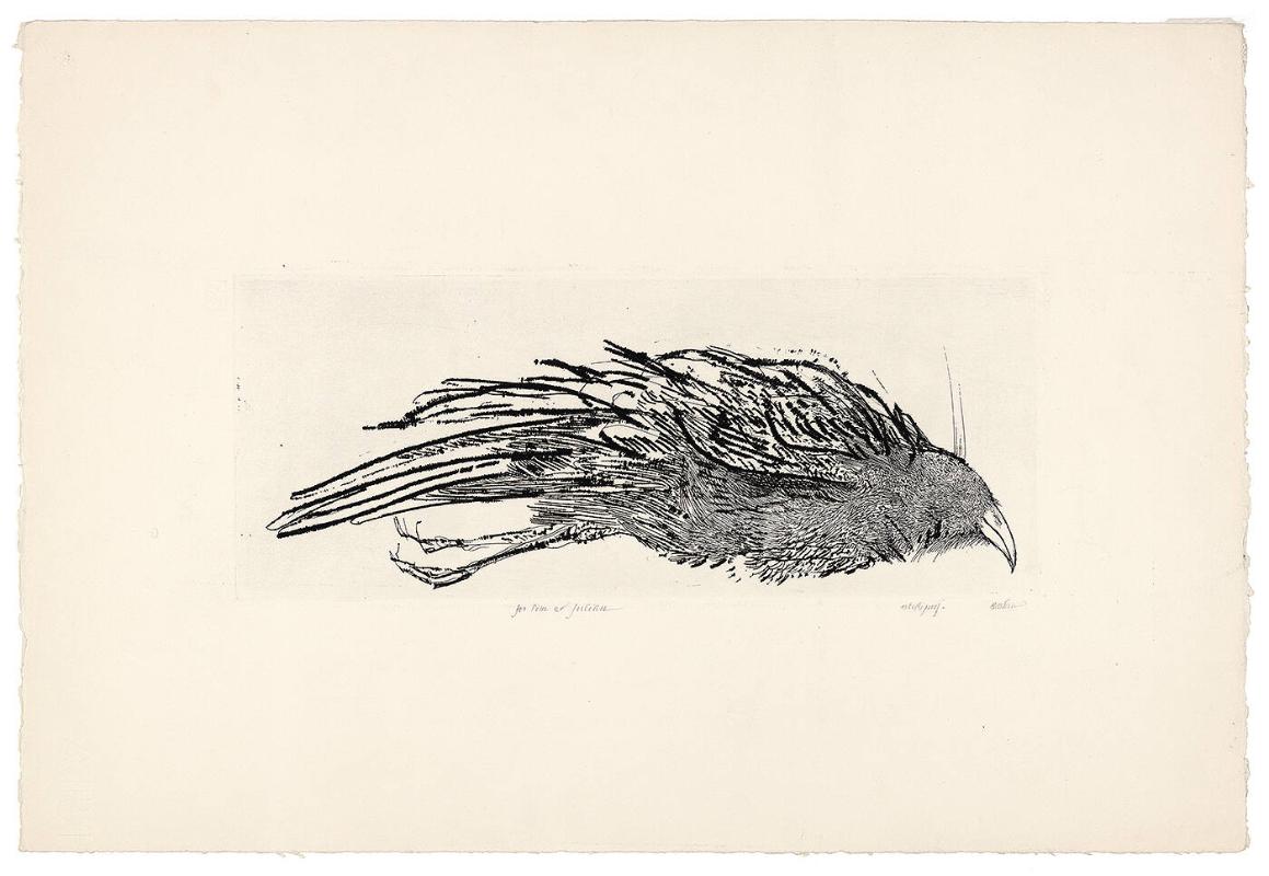 Untitled (Dead Bird)