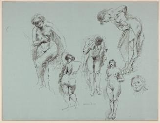 Six Studies of a Female Nude