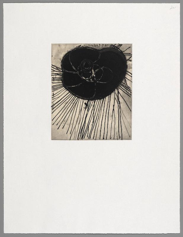Untitled (from "Fourteen Etchings")