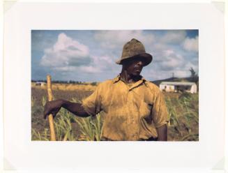 Farm Security Administration borrower, vicinity of Frederiksted, St. Croix, Virgin Islands