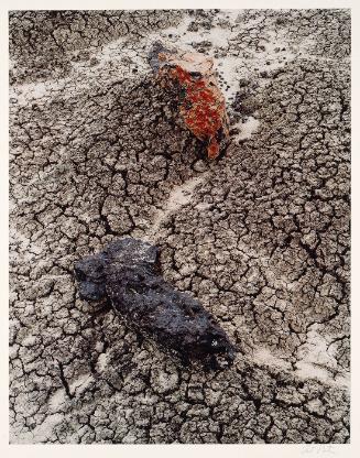 Stones and Cracked Mud. Black Place, New Mexico. June 9, 1977 (from "Intimate Landscapes", 1979)
