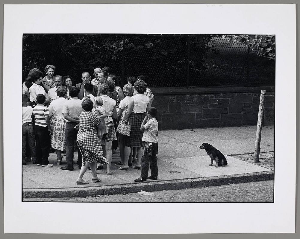 Albany, NY, 1962 (from "Son of Bitch")