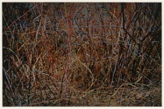 Straw and Bramble, Redding, CT (from "Color Nature Landscapes I")