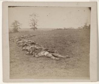 Antietam, Maryland. Bodies of Confederate Dead Gathered for Burial, September 1862