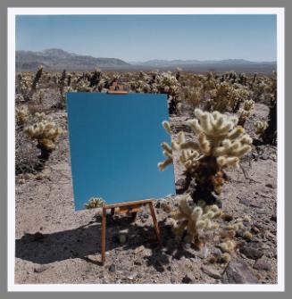 Cholla Garden (from the series "The Edge Effect")