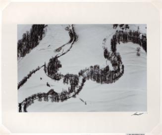 Frozen Stream with Dormant Tree and Shadows (from "Color Nature Landscapes I")