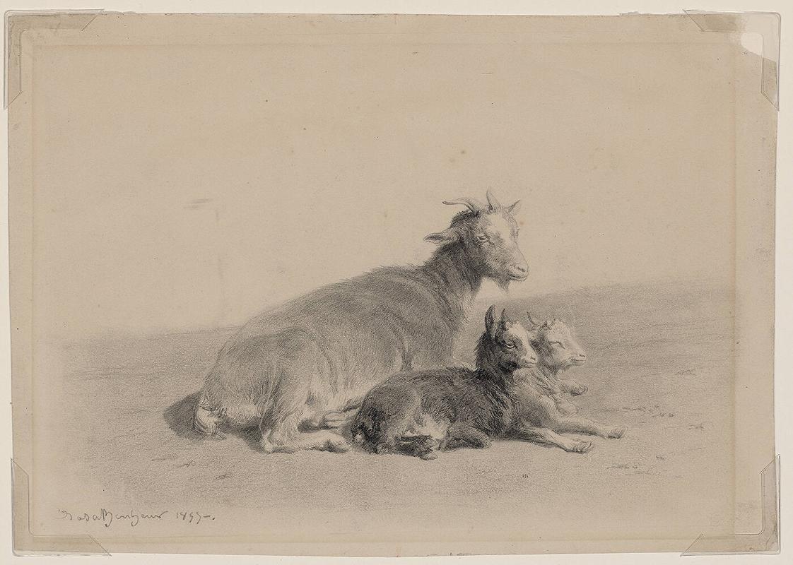 Goat with Two Kids
