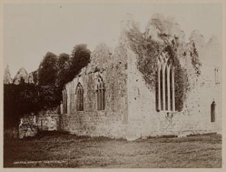 Askeaton Abbey