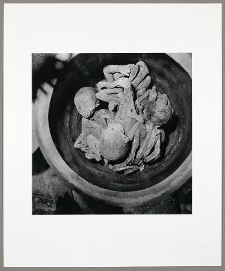 Discarded Fetuses, Zhengzhou, Henan Province, (from "The Chinese")