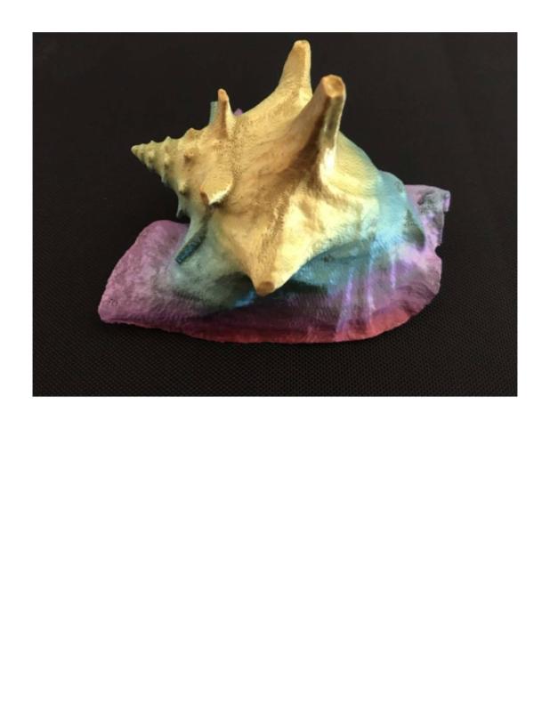 3D Printed Model of Conch Shell