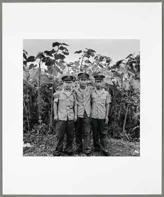 Three Soldiers Under the Sunflower Trees, Harbin, Heilongjiang Province (from "The Chinese")