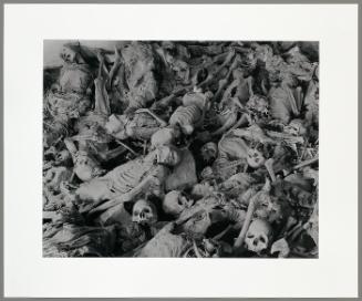 Mass Grave #2, Datong, Shanxi Province (from "The Chinese")