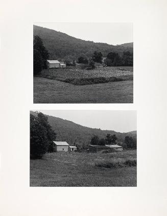 Summer Landscapes: Gradual Abandonment 1978 & Gradual Abandonment 1979