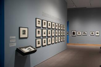 Edward Steichen: Episodes from a Life in Photography