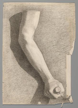 Untitled: Study of an arm