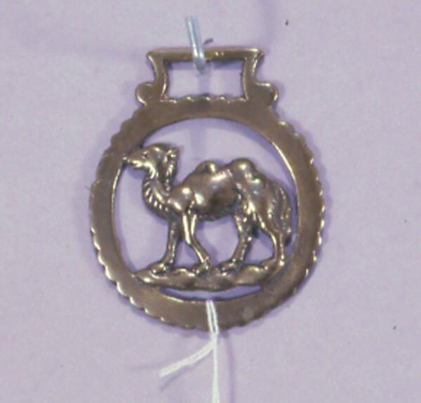 Horse Brass, Camel