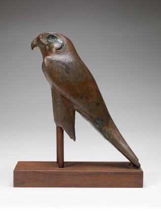 Falcon Coffin