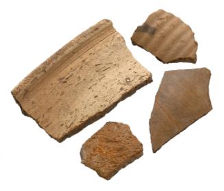 Pot Sherd