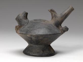 Black Pitcher