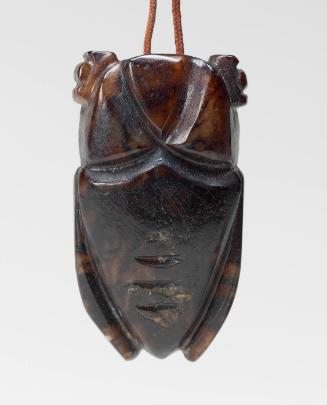 Orificial cicada