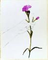 © Andy Warhol Foundation for the Visual Arts/ARS, New York
