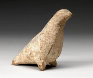 Bird or Dove
