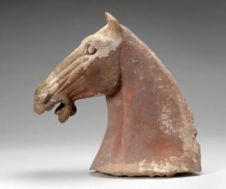 Horse Head