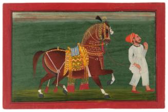 A Chestnut Horse