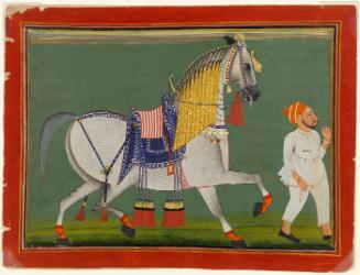 The Horse Mira Bagas