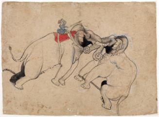 Taming an Elephant