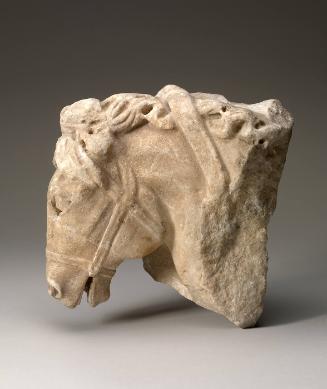 Horse's Head