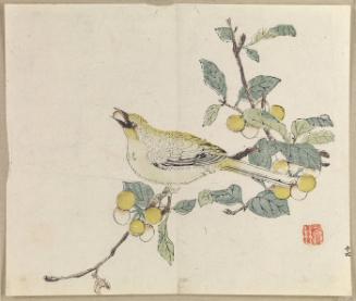 Bird on Branch