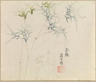 Bamboo Spray