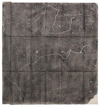 Stone Brushing of a Map or Branches?