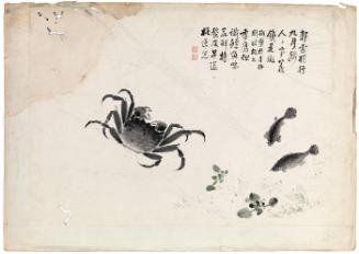Studies of crabs and carp in water