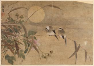 Two Birds
