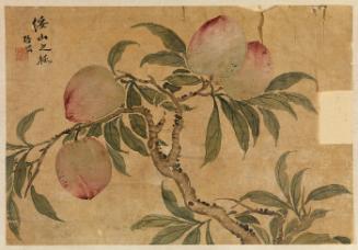 Branches with fruit
