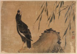 Crow